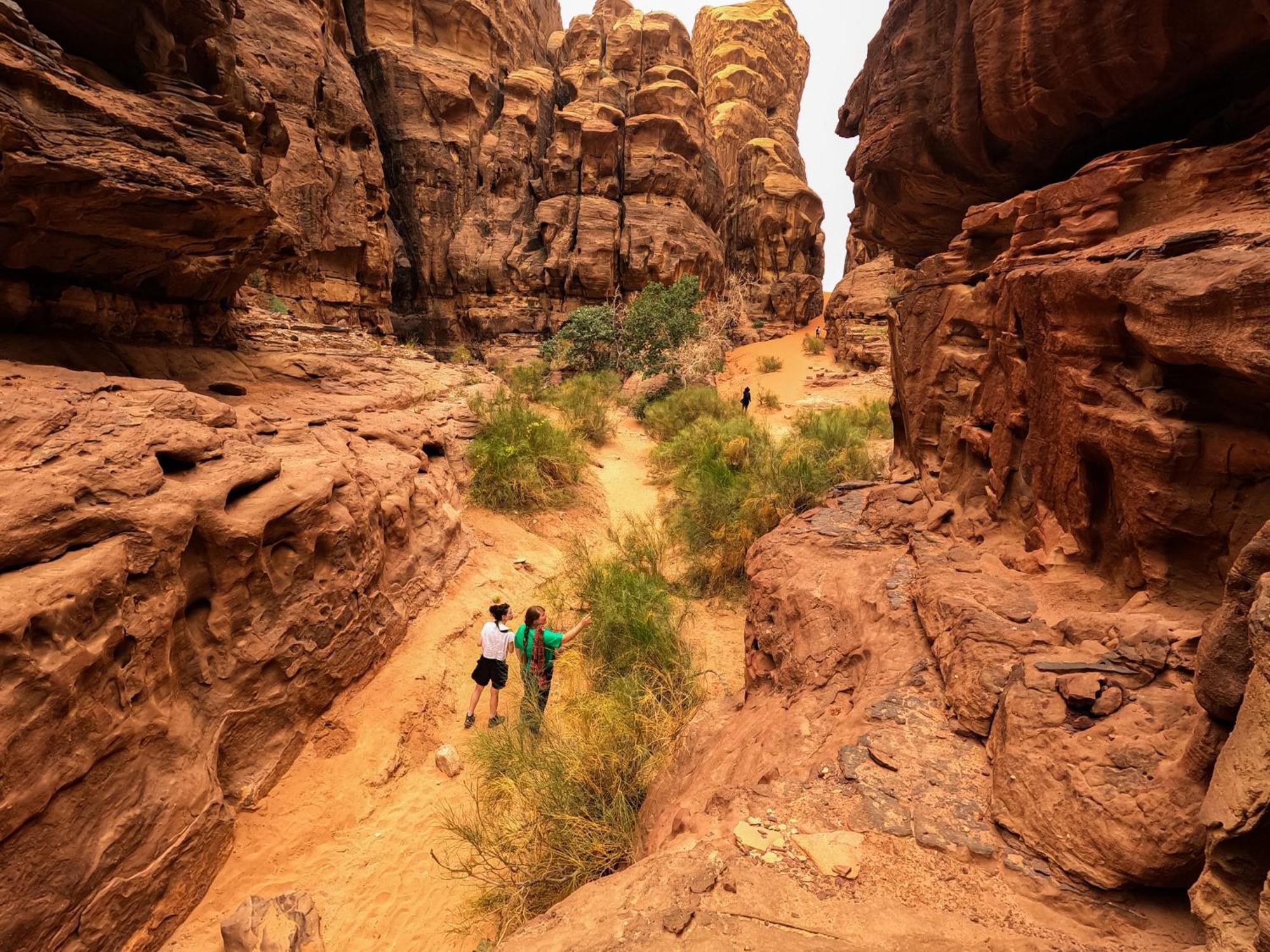 Stargazing Camp & Tours Hotel Wadi Rum Exterior photo