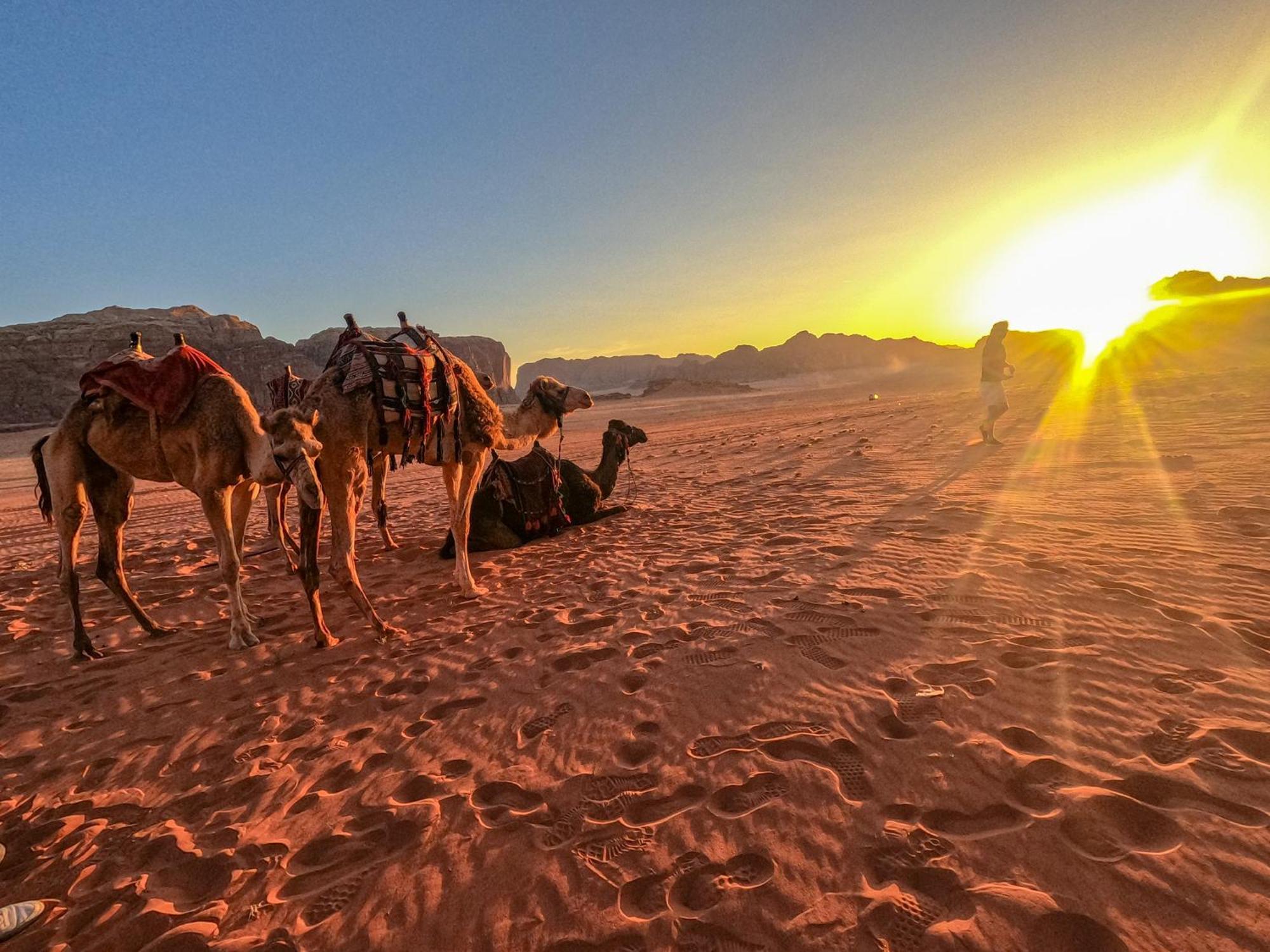 Stargazing Camp & Tours Hotel Wadi Rum Exterior photo