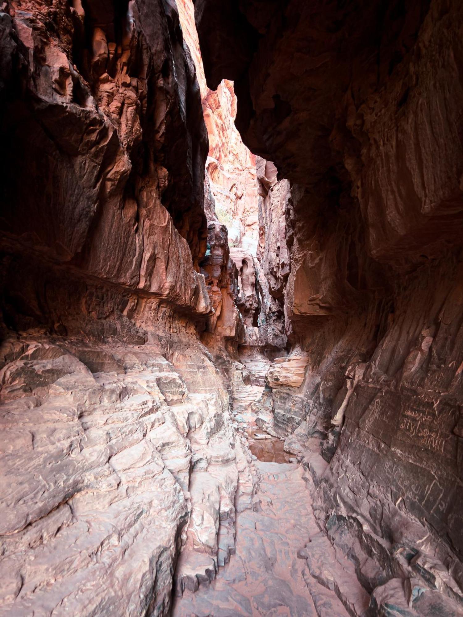 Stargazing Camp & Tours Hotel Wadi Rum Exterior photo