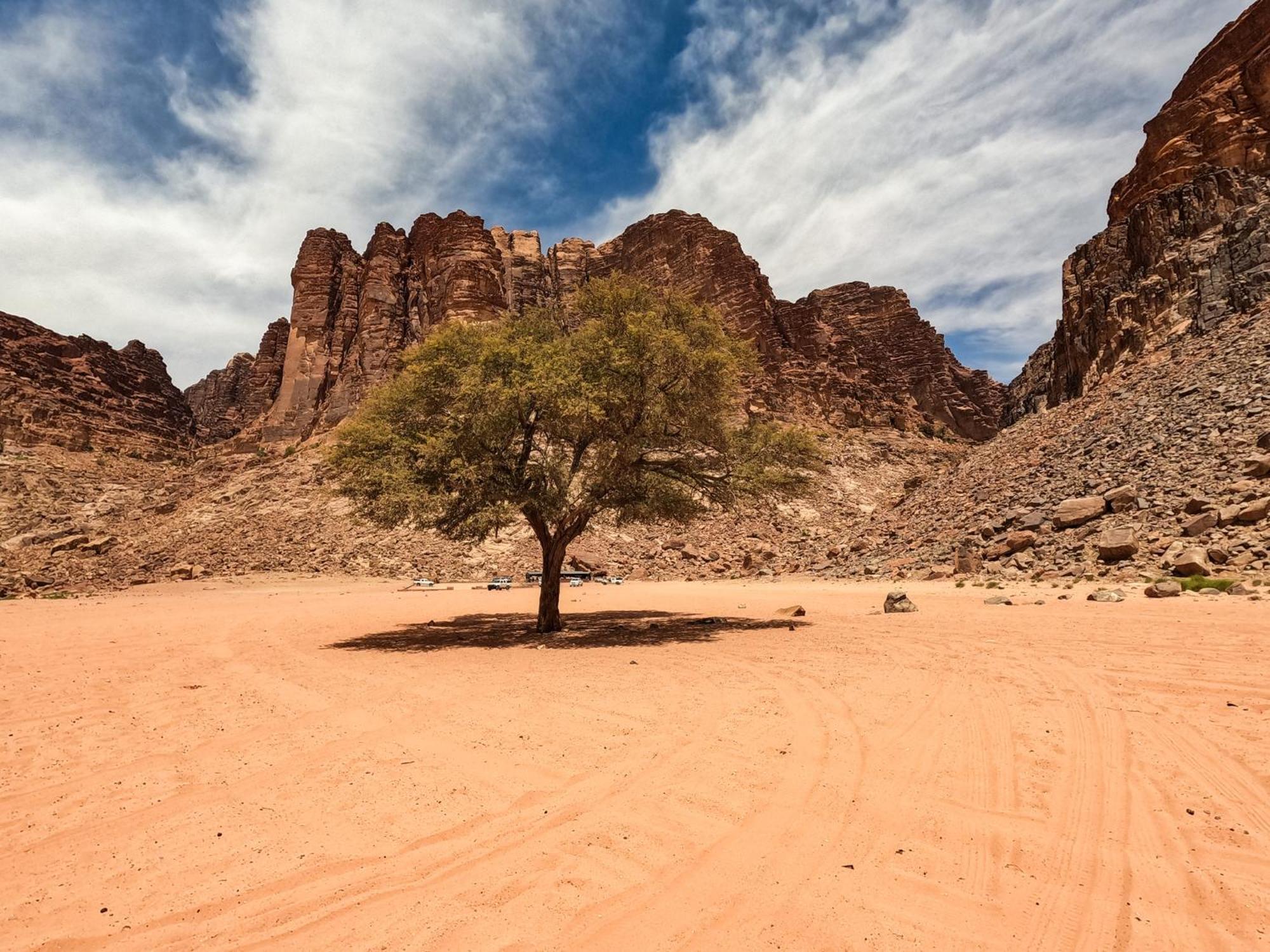 Stargazing Camp & Tours Hotel Wadi Rum Exterior photo